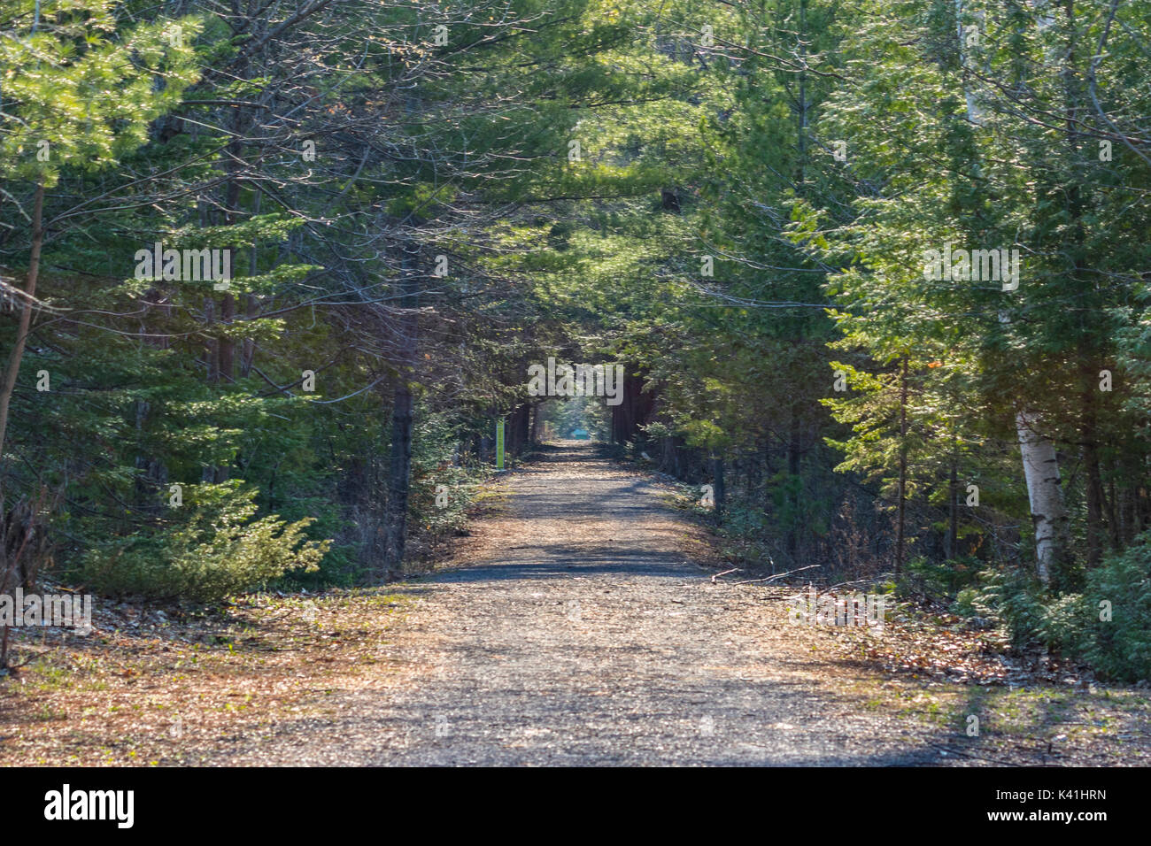 Morris Island Hiking Trail Stock Photo Alamy