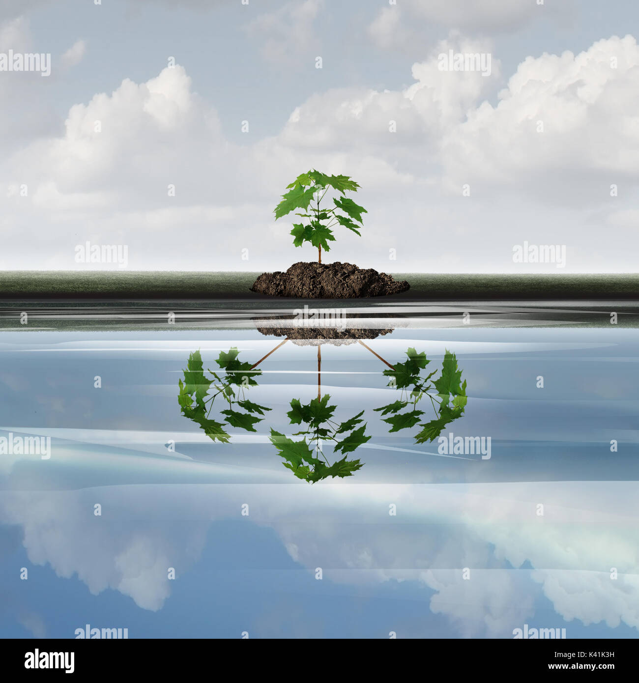 Future growth business concept as a sapling tree with a reflection of multiple plants as a symbol for expansion or growing corporate marketing. Stock Photo