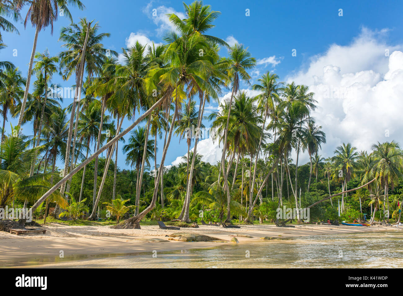 Palm trees on beautiful tropical beach on Koh Kood island in Thailand ...