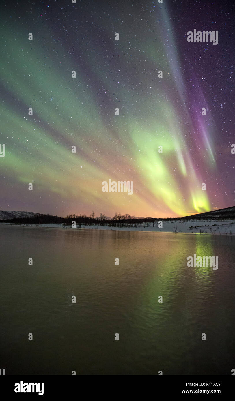 Aurora Borealis on the frozen lagoon of Jaegervatnet Stortind Lyngen Alps Tromsø Lapland Norway Europe Stock Photo