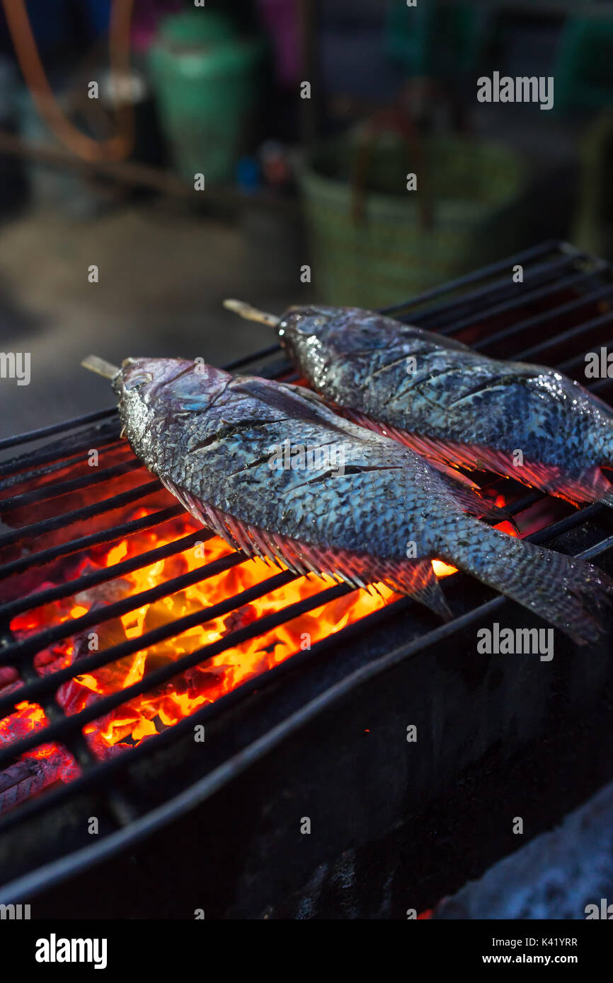 Grilled fish with salt crust and herb on grill Stock Photo