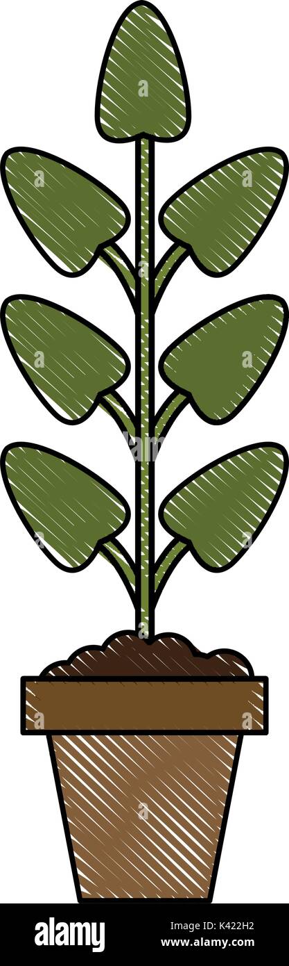 Isolated plant design Stock Vector Image & Art - Alamy