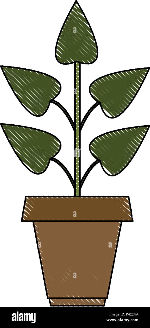 Isolated plant design Stock Vector Image & Art - Alamy