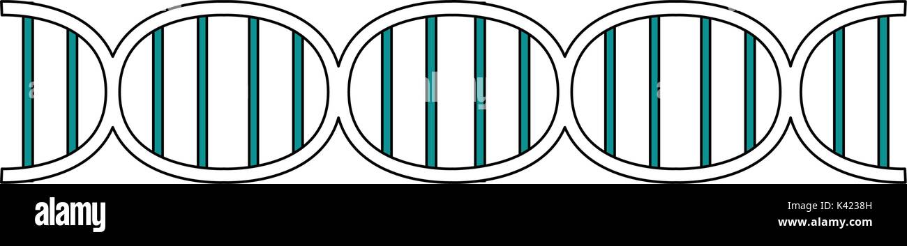 Isolated dna design Stock Vector Image & Art - Alamy