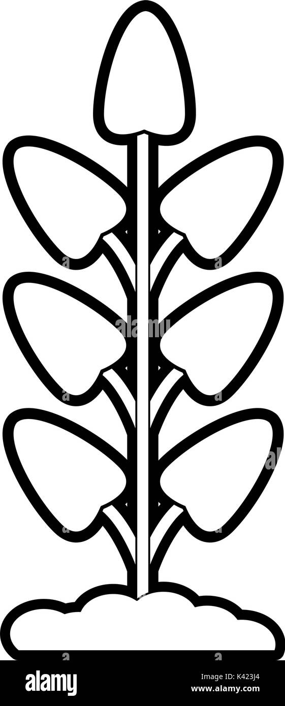 Isolated plant design Stock Vector Image & Art - Alamy