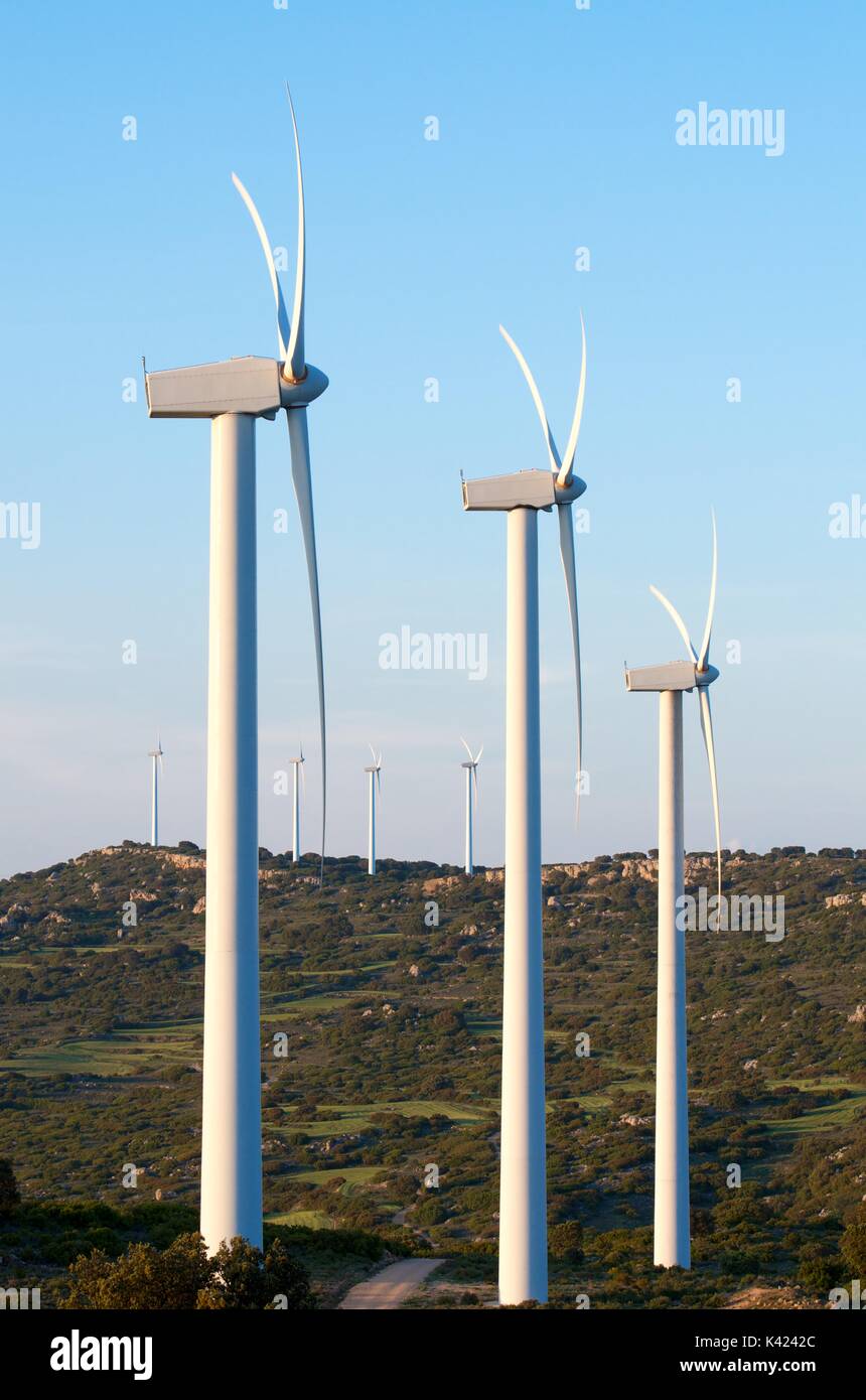 group of  windmills in a wooded area, El Buste, Saragosa, Aragon, Spain Stock Photo
