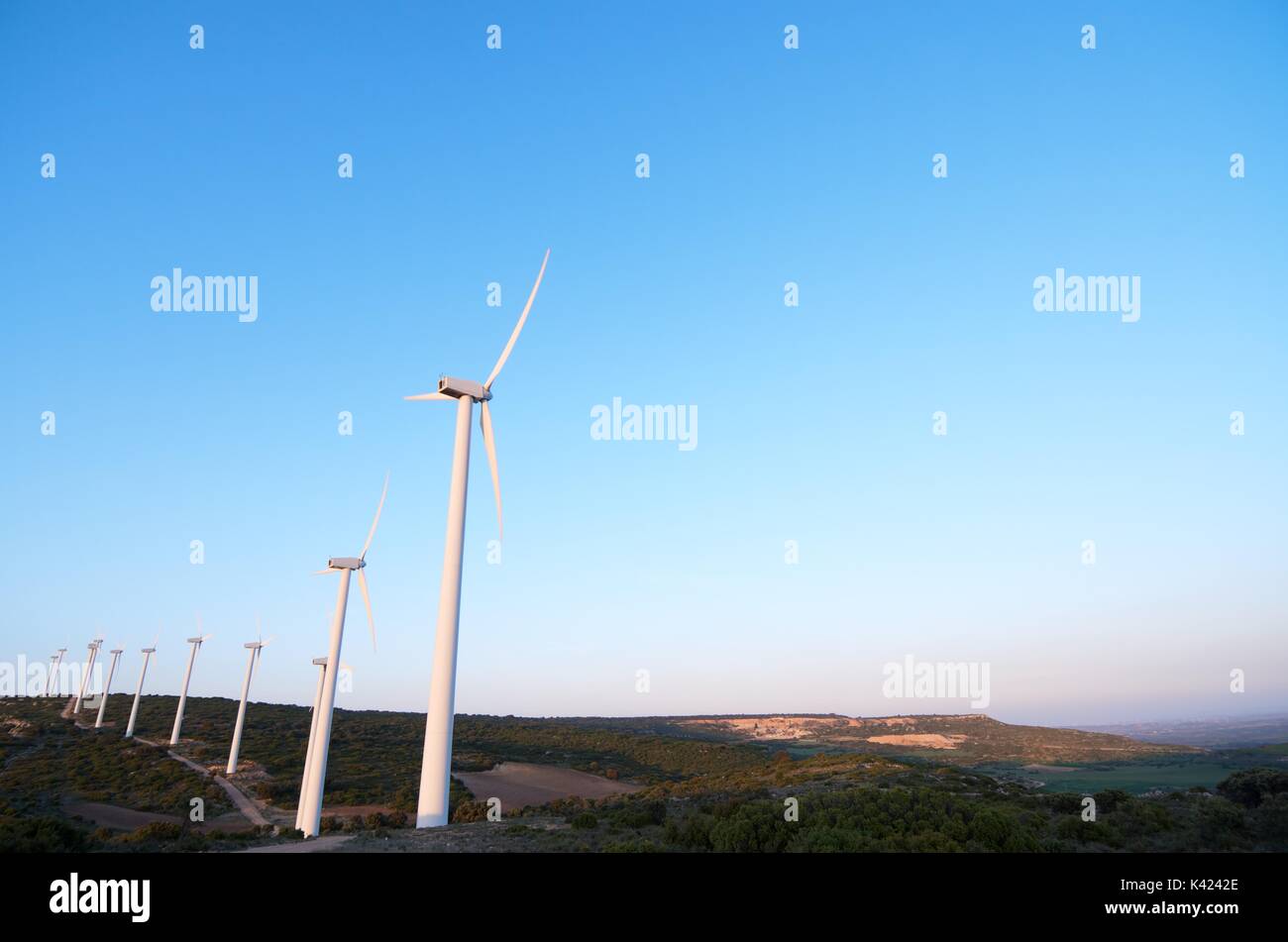 group of  windmills in a wooded area, El Buste, Saragosa, Aragon, Spain Stock Photo
