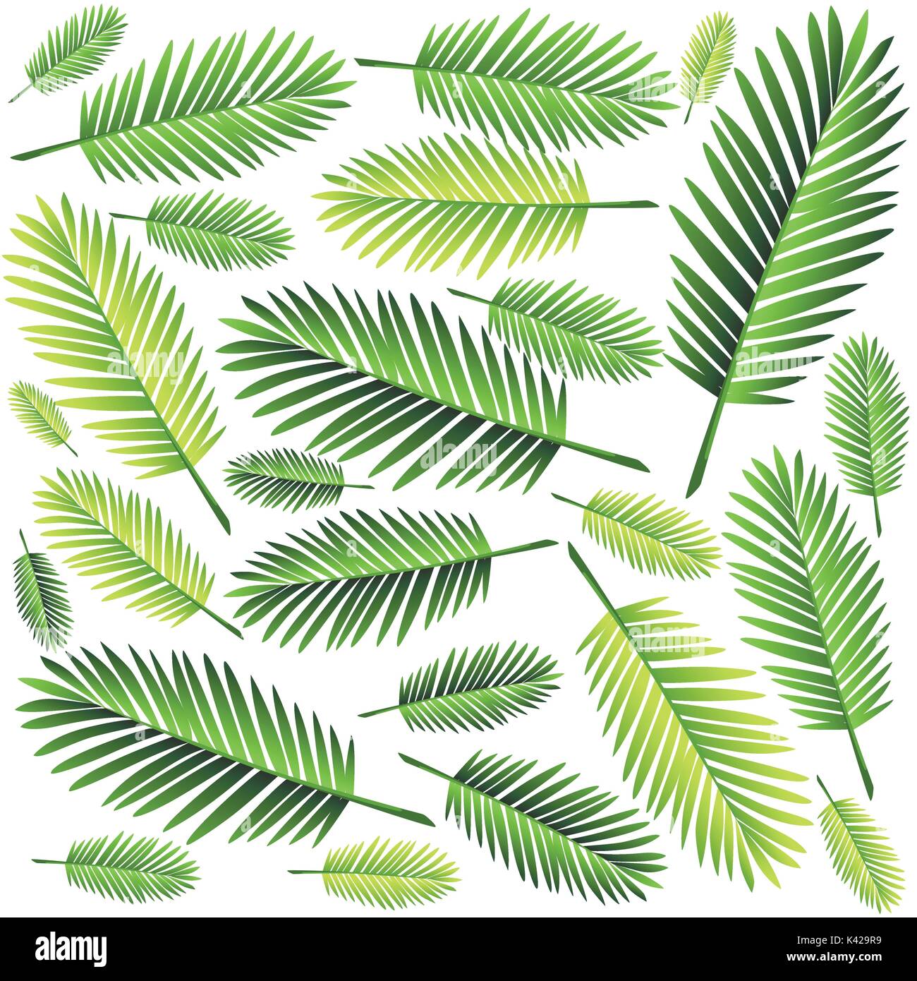 Tropical palm leaves, jungle leaves seamless vector floral pattern ...