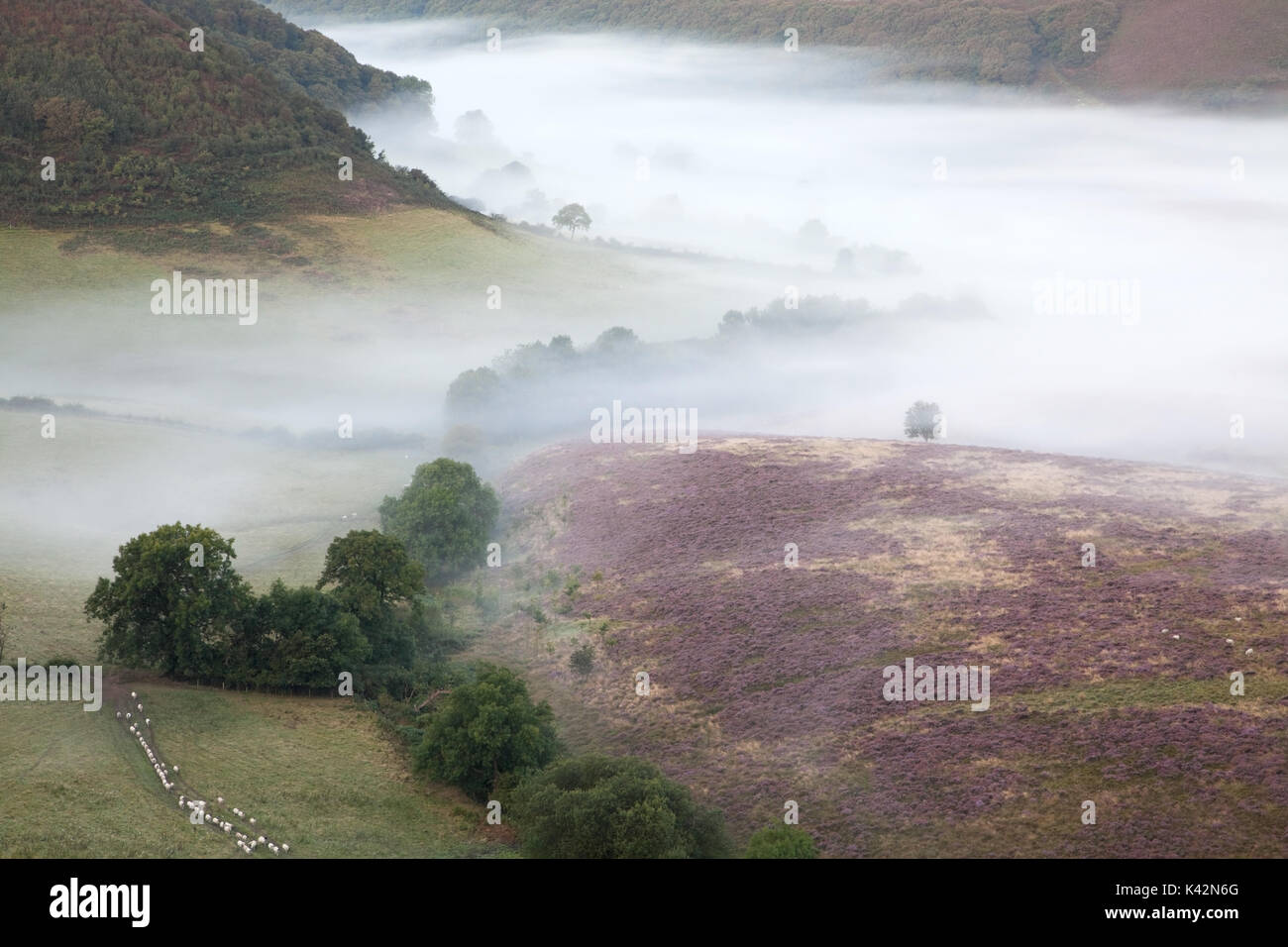Dawn mist in the Hole of Horcum in the North York Moors Stock Photo