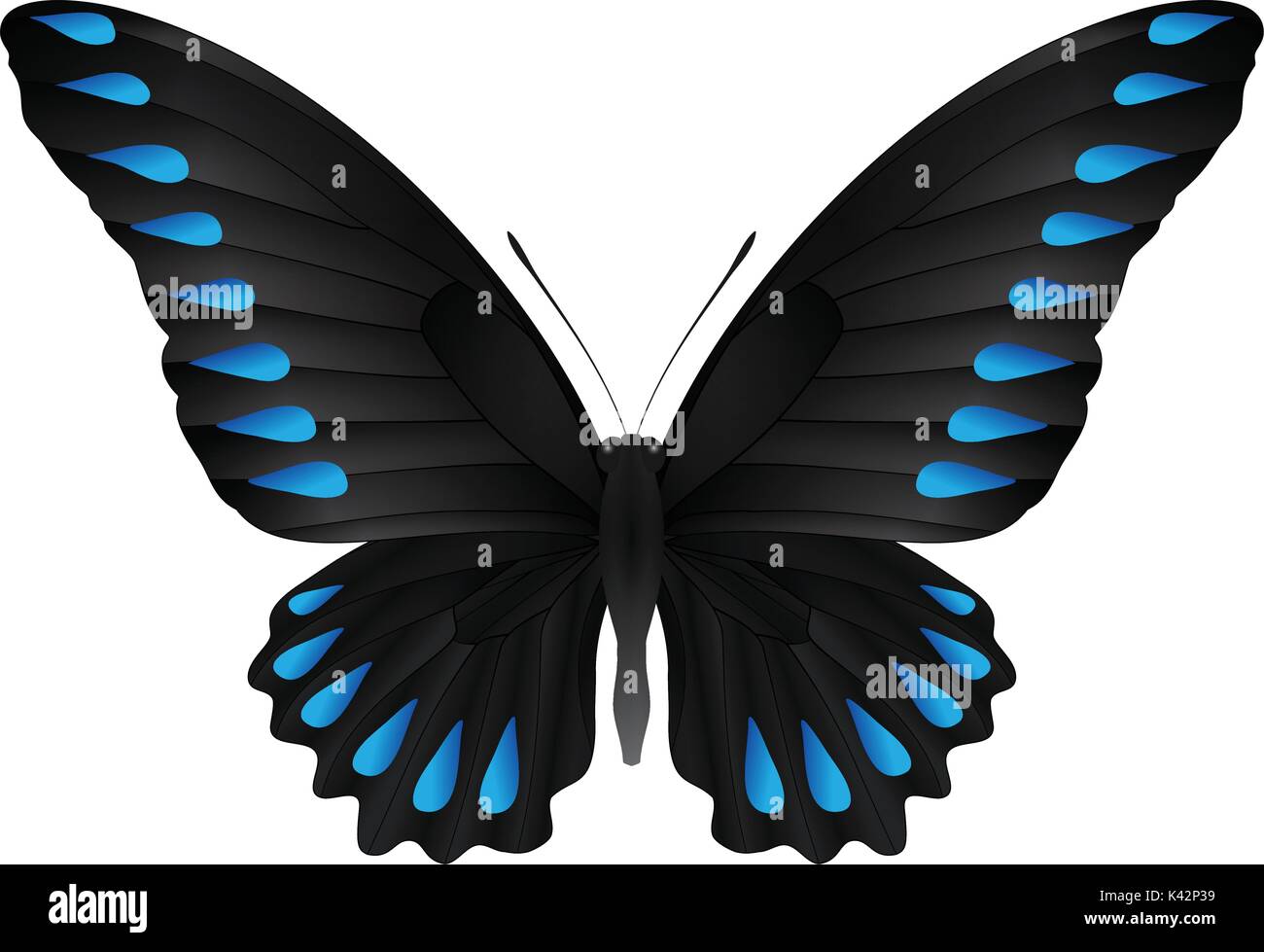 Beautiful butterfly isolated on a white background Stock Vector Image ...
