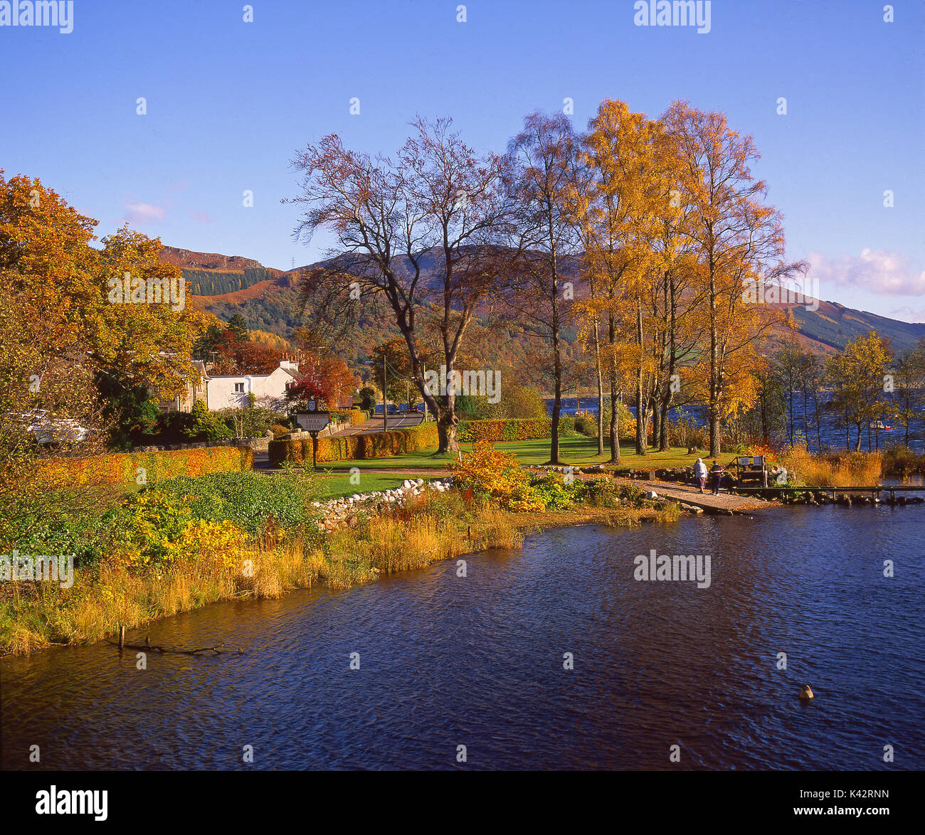 Beautiful autumn colours on the shore of the eastern end of Loch Earn, St Fillans, Perthshire Stock Photo