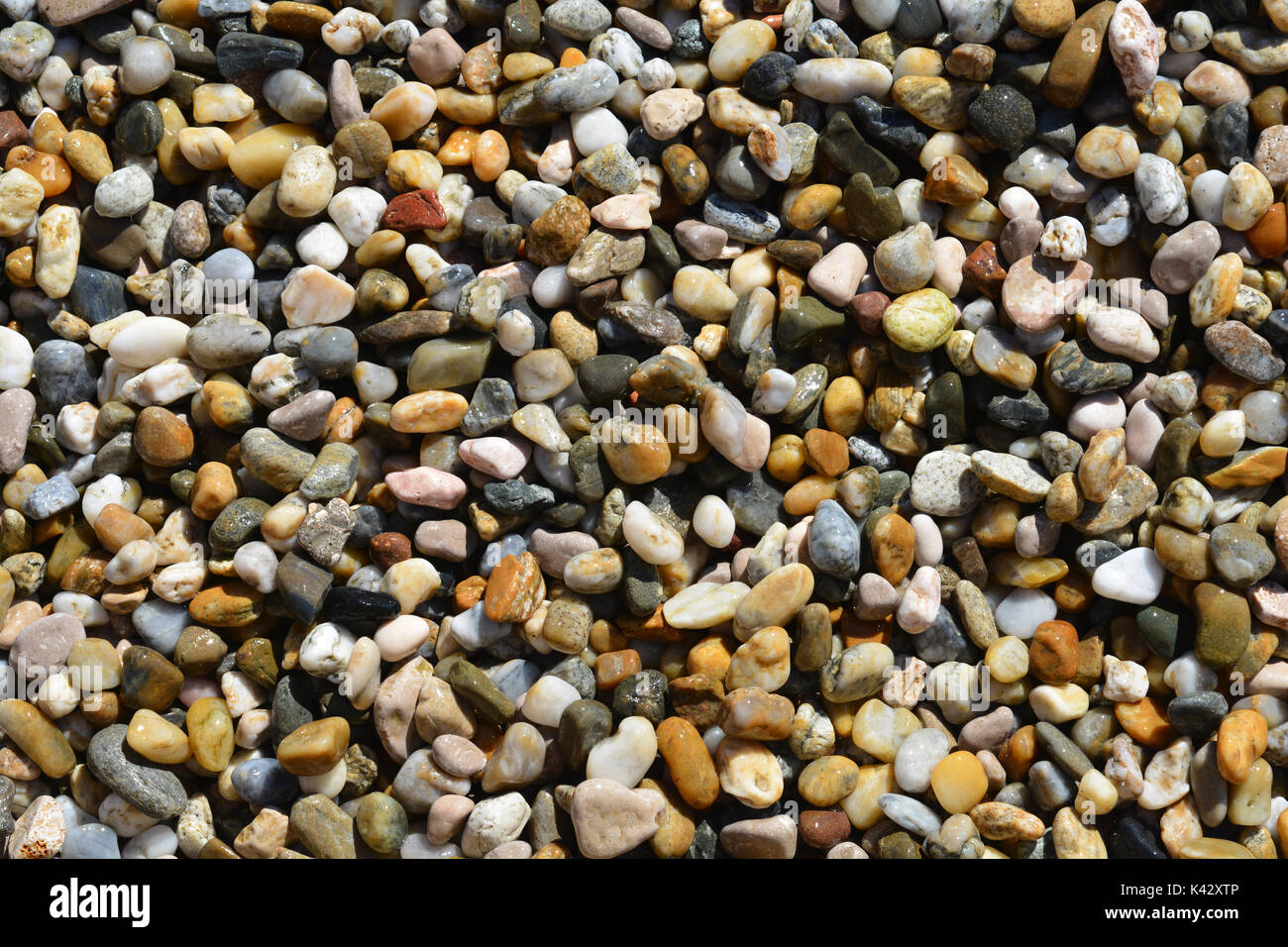 Beach detail - colorful wet beach pebbels Stock Photo