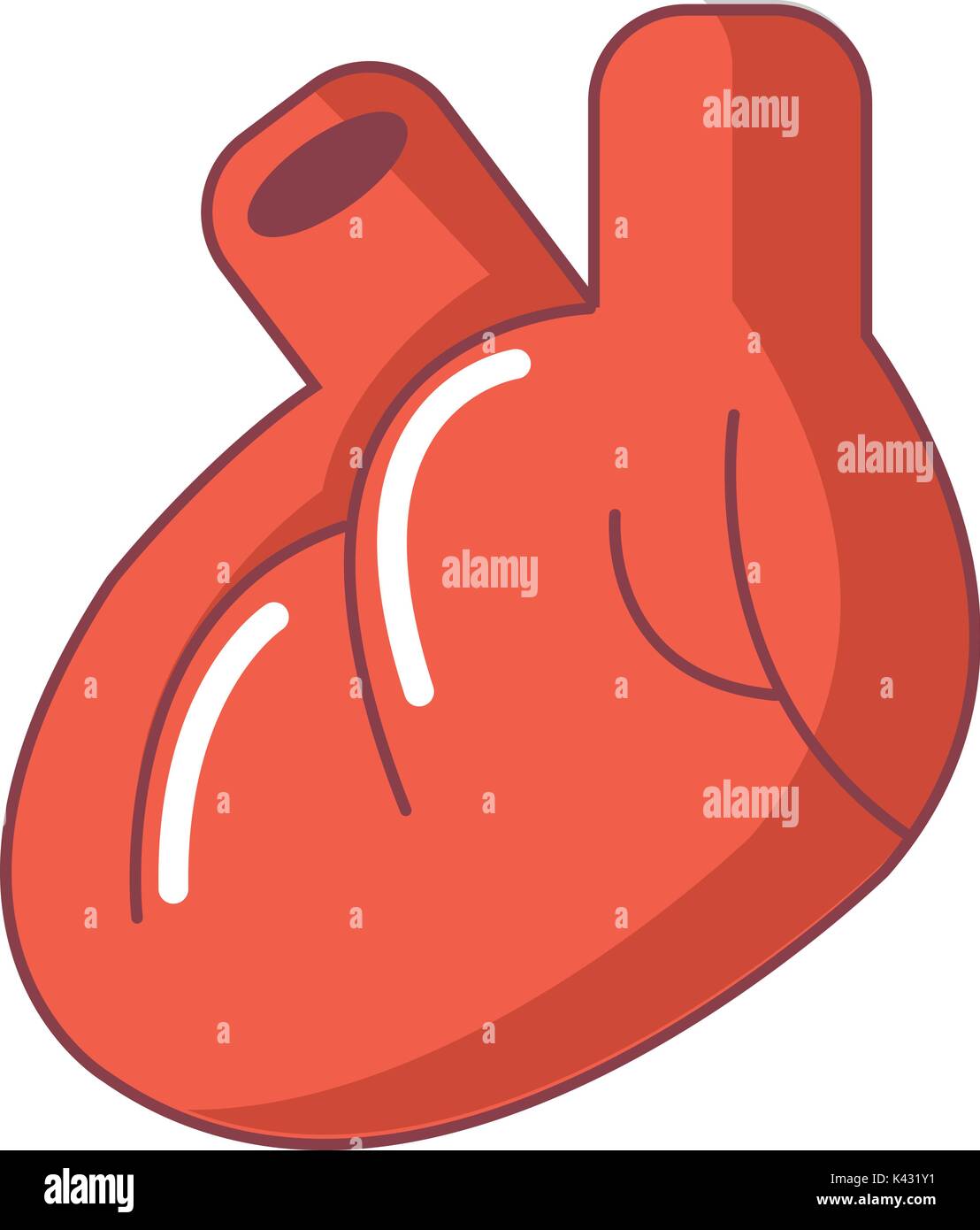 Heart organ icon, cartoon style Stock Vector Image & Art - Alamy