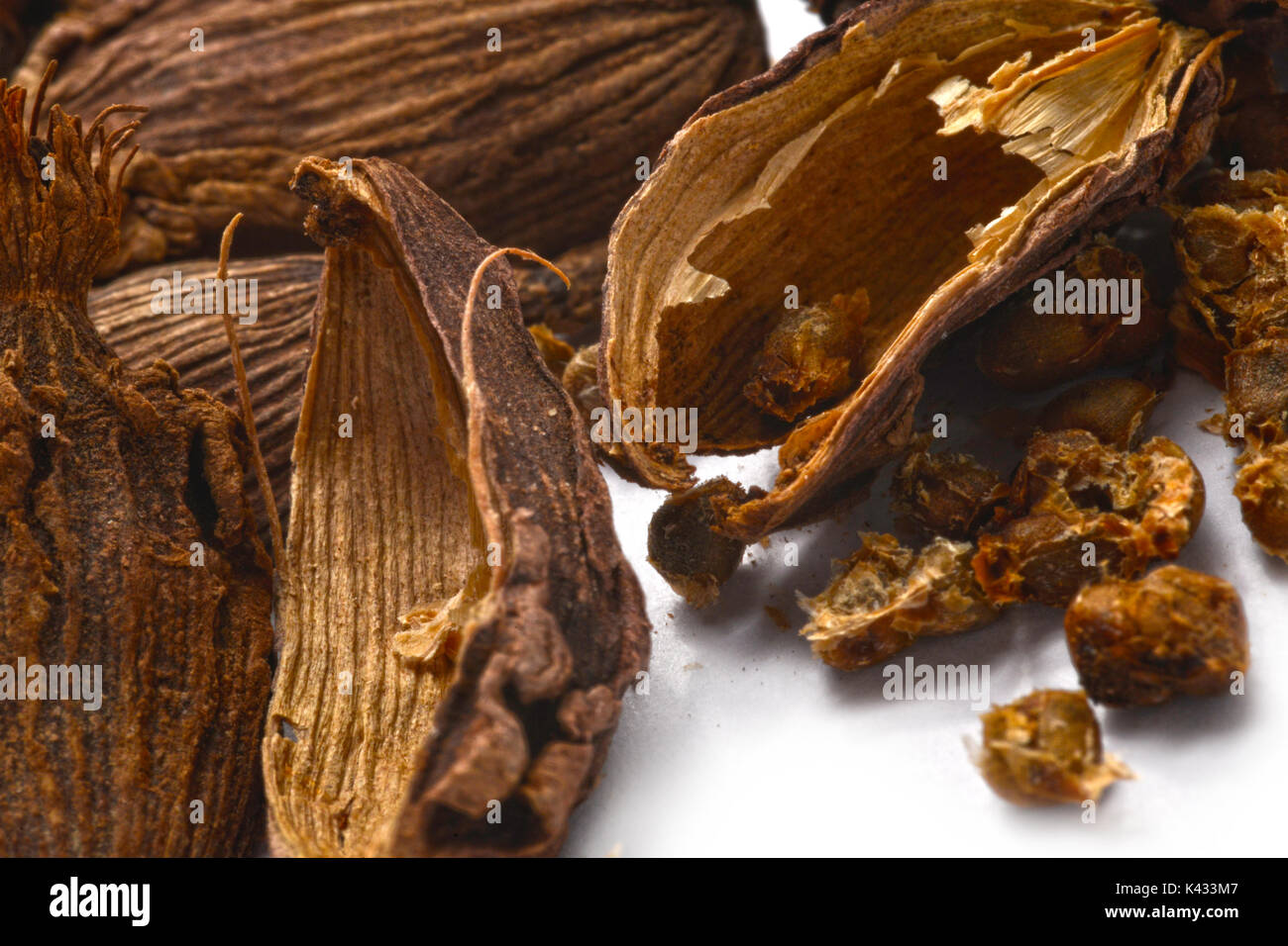 Black cardamon pods closeup Stock Photo Alamy