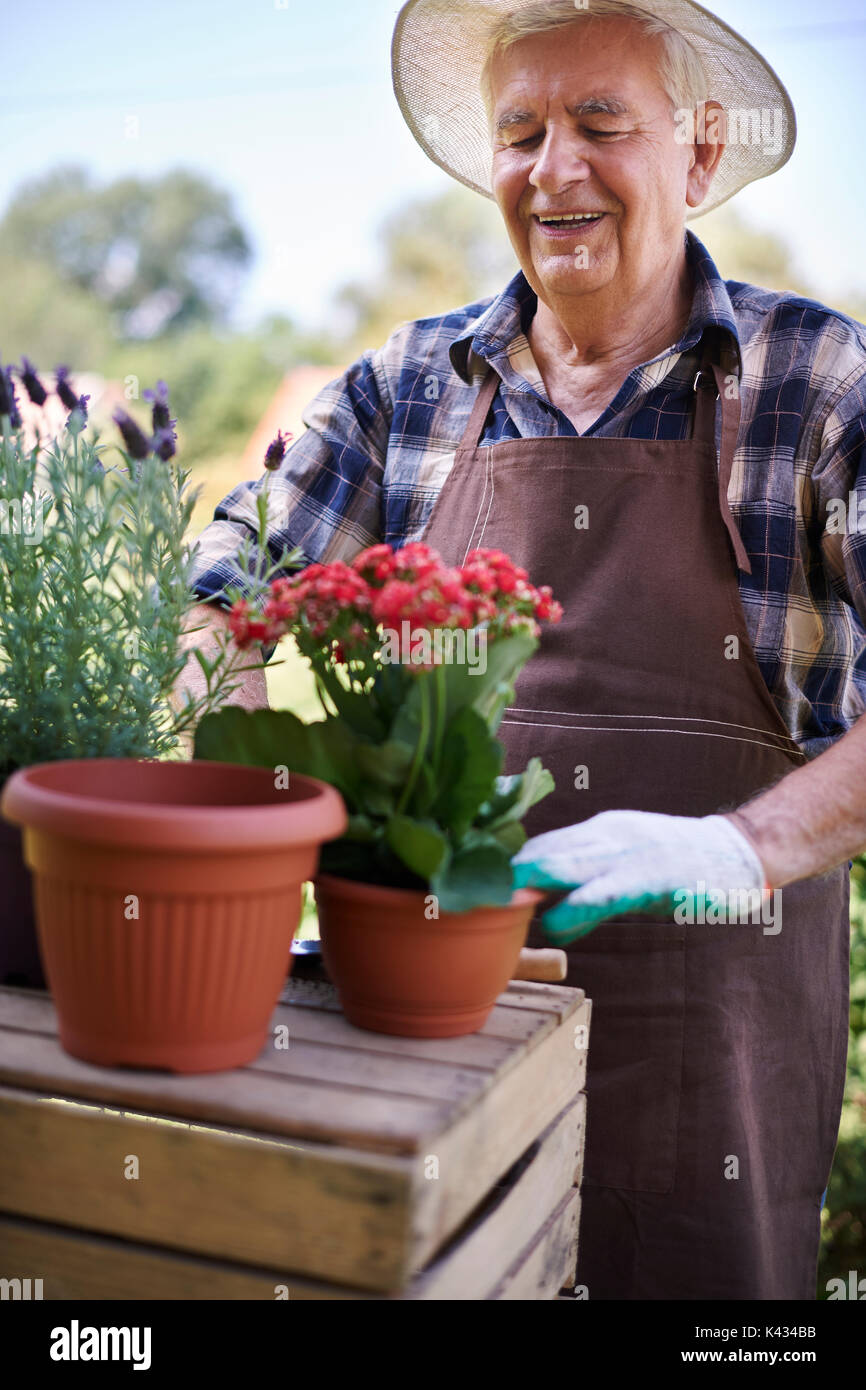 Today I have a really busy day Stock Photo - Alamy