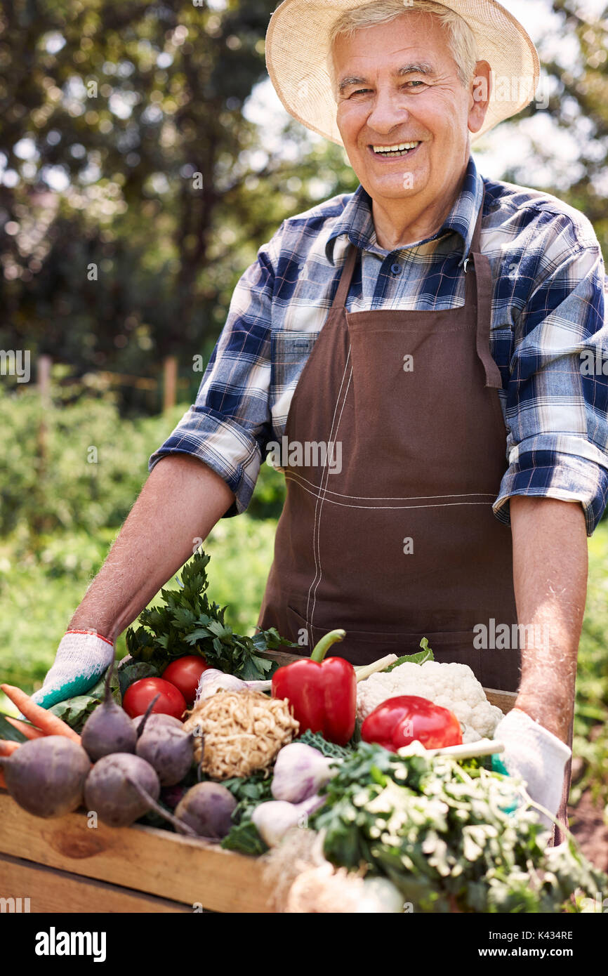 Senior man lifting box full of seasonal vegetables Stock Photo