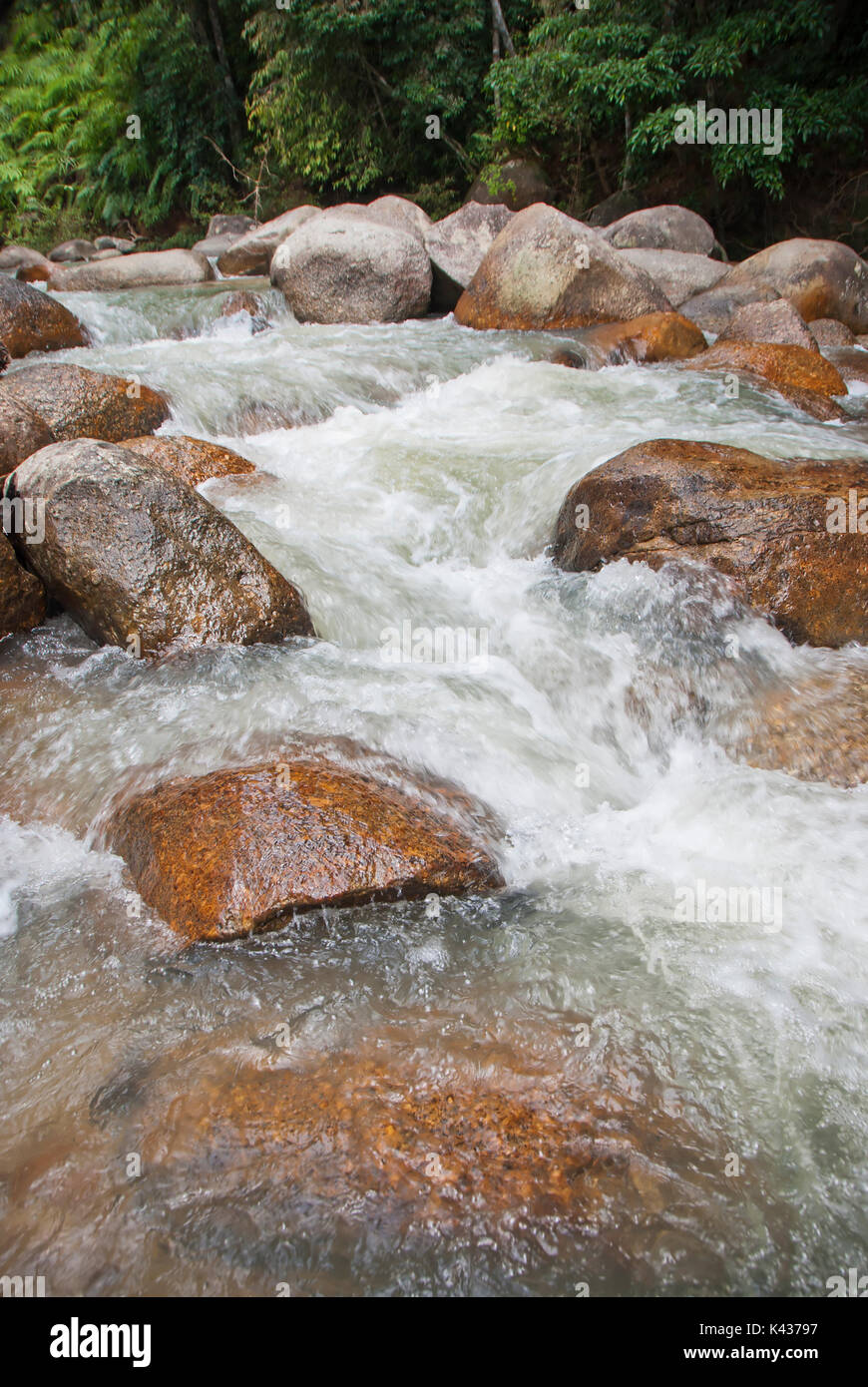Naturally undeveloped river in Bentong, Pahang, Malaysia - Janda Baik