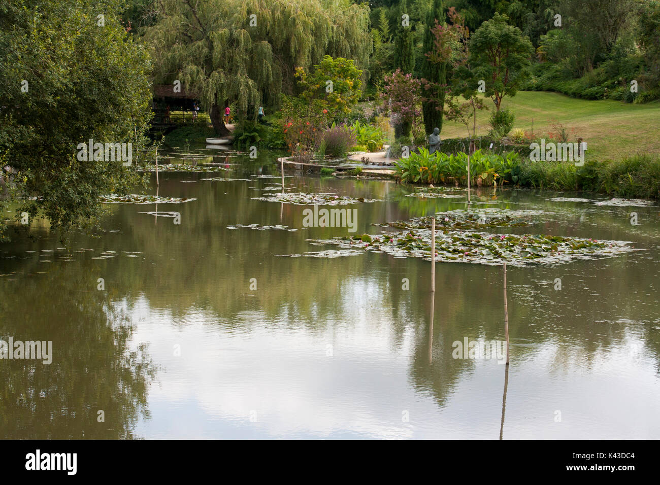water gardens of Labour-Marliac famous for cultivating Water lilies Stock Photo