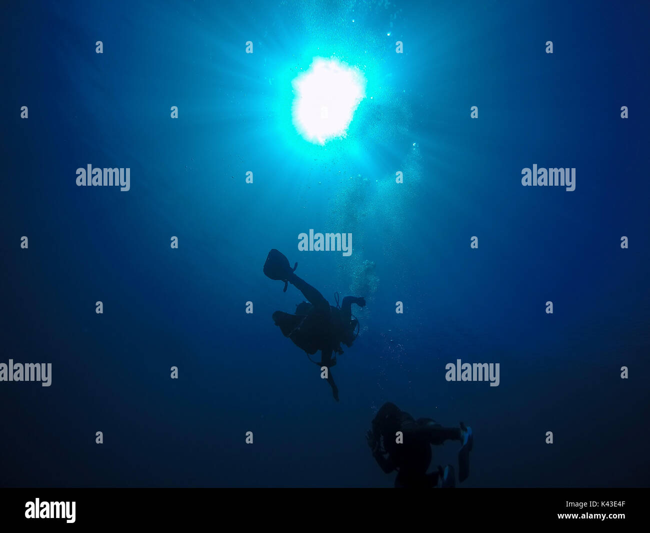 Group of scuba divers ascending. A backlit scuba diver silhouette. Scuba Divers Silhouette Against Sun Stock Photo