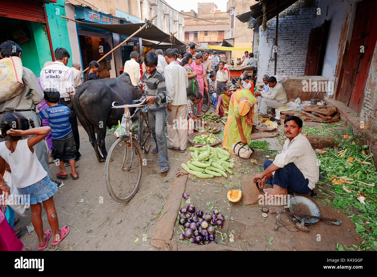 Vendor at market stall with vegetables, Bharatpur, Rajasthan, India | Marktstand mit Gemuese, Bharatpur, Rajasthan, Indien Stock Photo