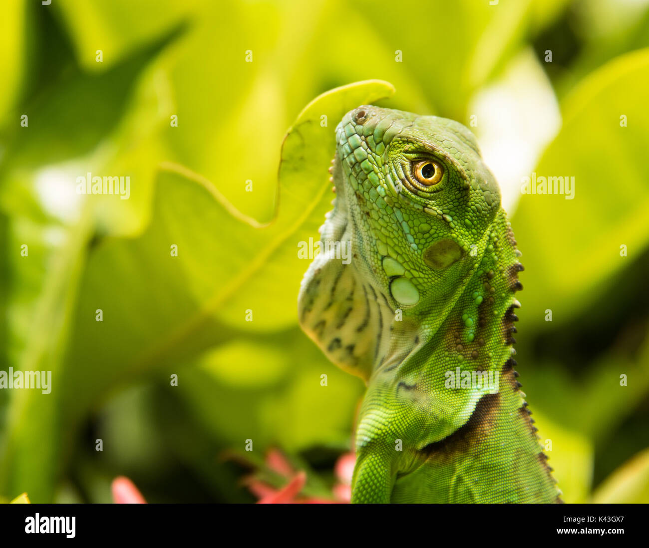 My Image 5