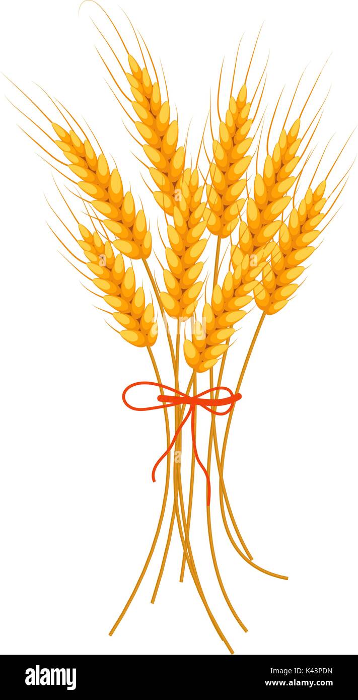 Wheat icon flat style. Isolated on white background. Vector