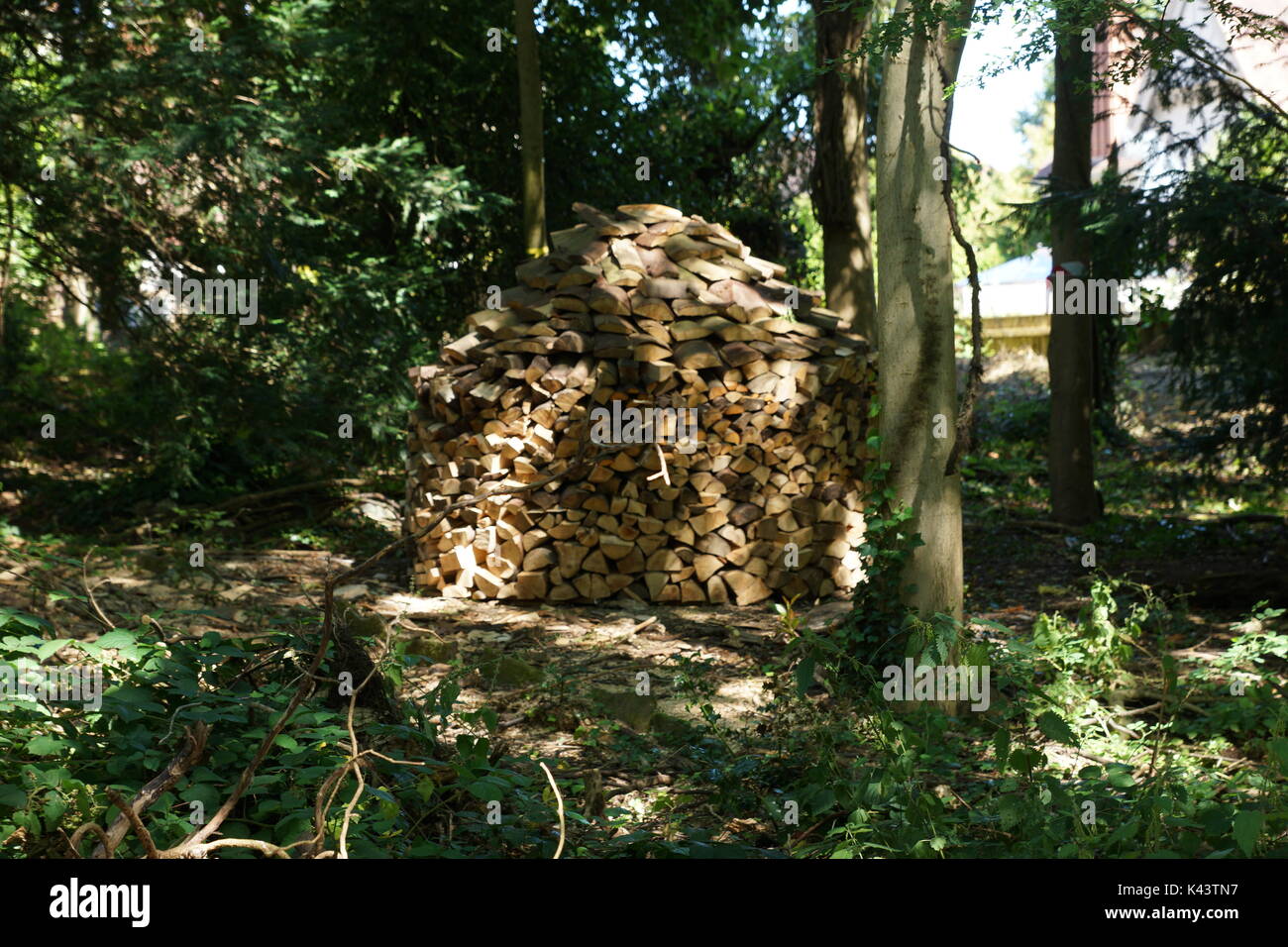Wood, Stack Firewood, Winter Fuel, Cord Wood, Lumber, Decorative, Rustic, Wood Burner, Stove, Split Wood, Woodpile,Natural Fuel, Environmental. Stock Photo