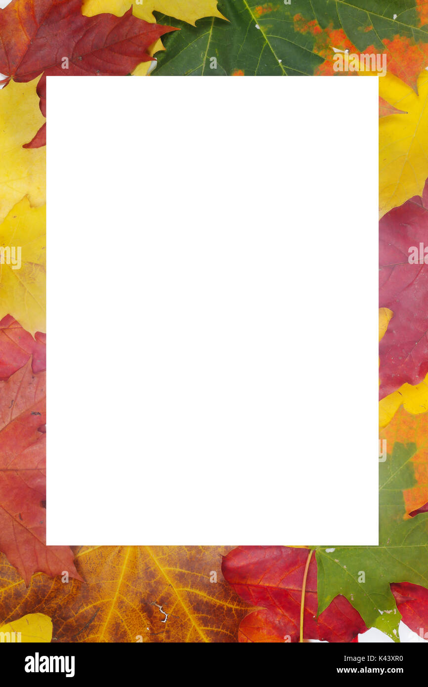 Autumn leaves frame with white paper isolated on white background Stock ...