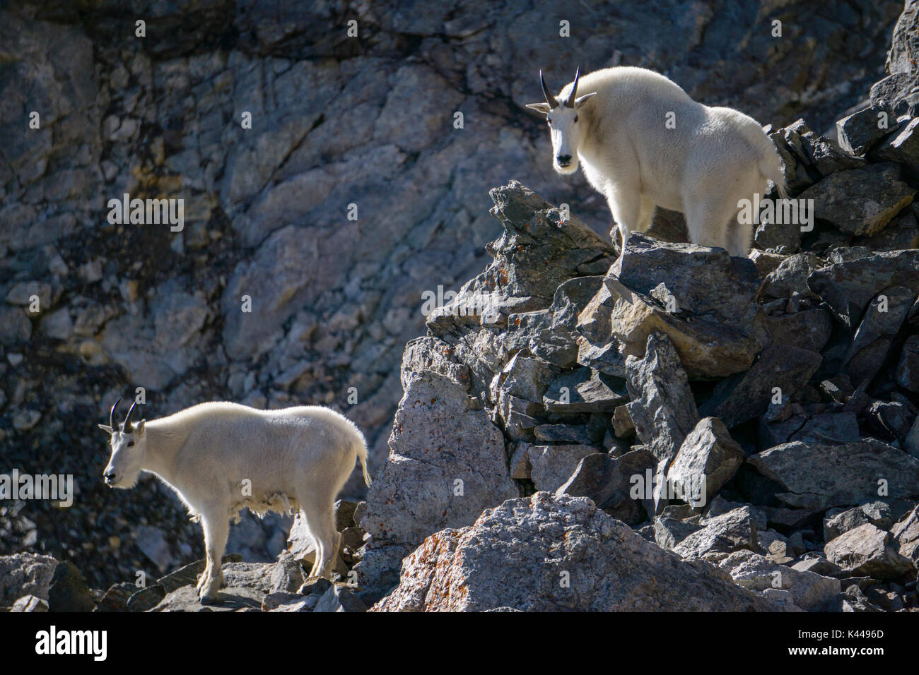 Grays Peak Silver Plume, Colorado Stock Photo Alamy