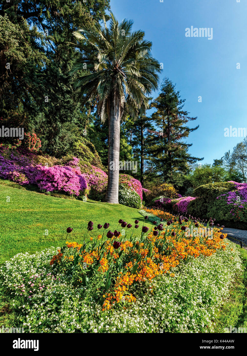 Villa Carlotta , botanic garden, Tremezzina, Como Lake, Lombardy, Italy Stock Photo