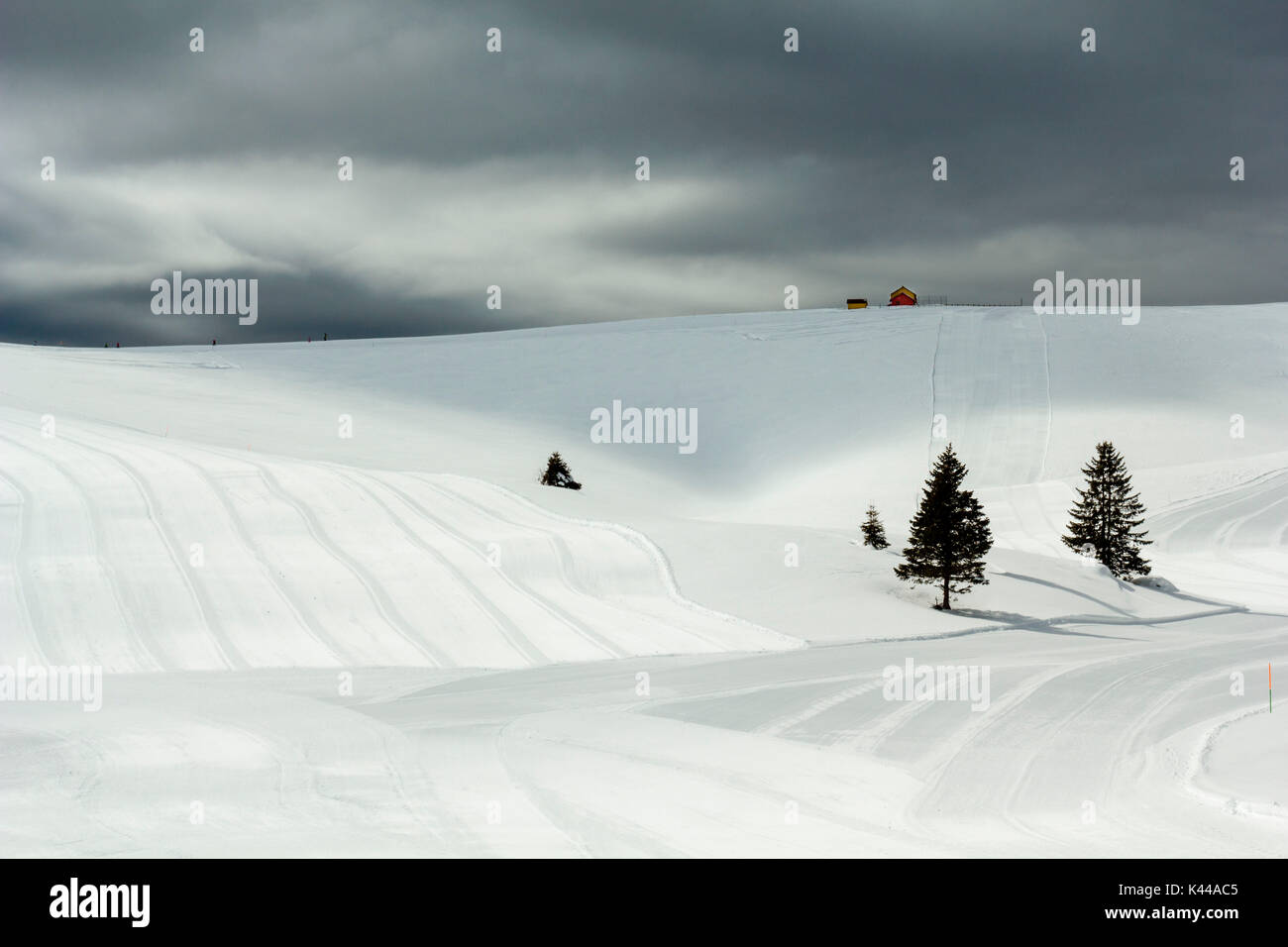 Formica Valley, Altopiano of Asiago, Province of Vicenza, Veneto, Italy. Pine trees and ski slopes before the storm. Stock Photo
