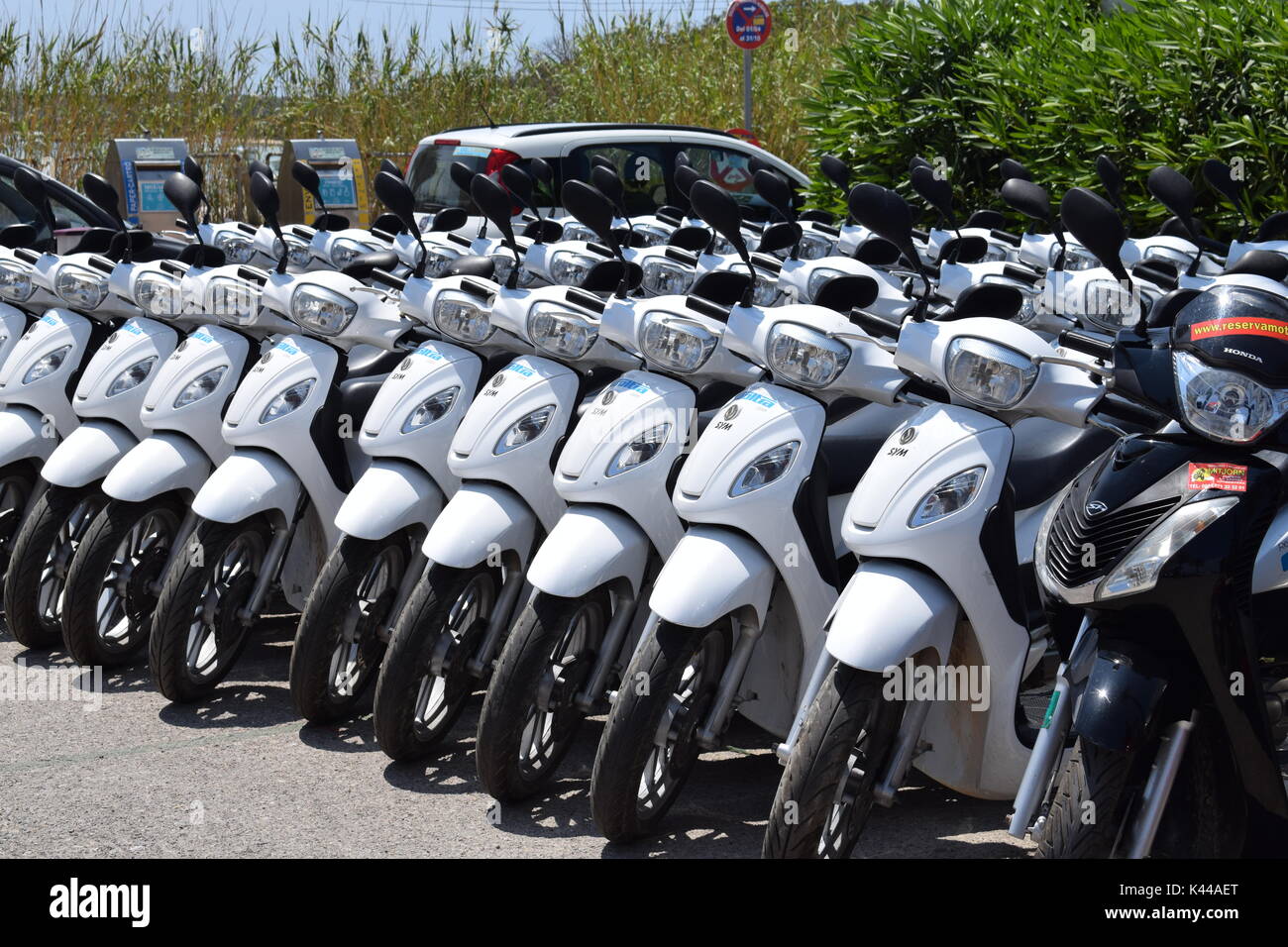 Retal mopeds for hire Stock Photo Alamy