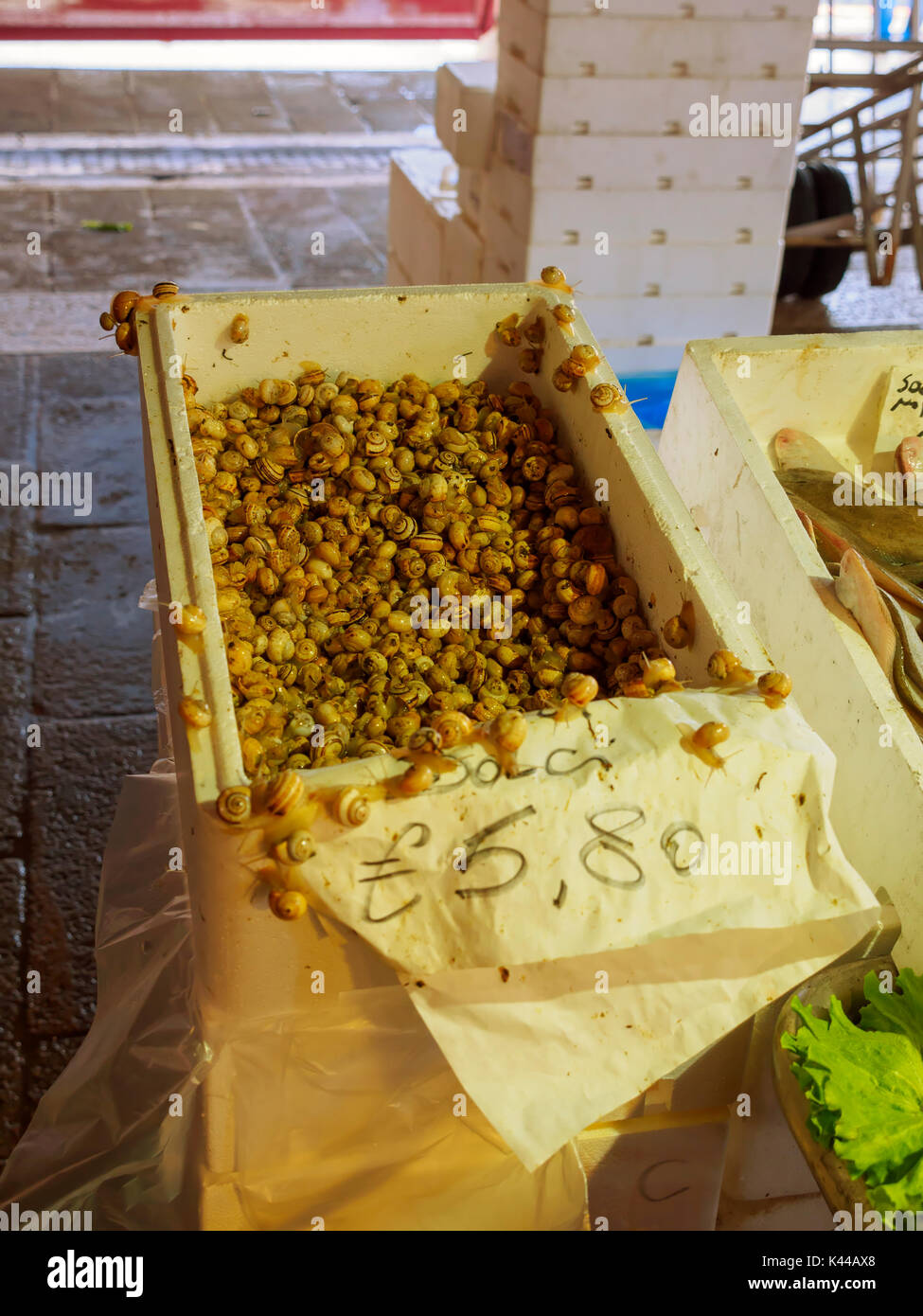 Snails at the Fish Market, Venice Stock Photo