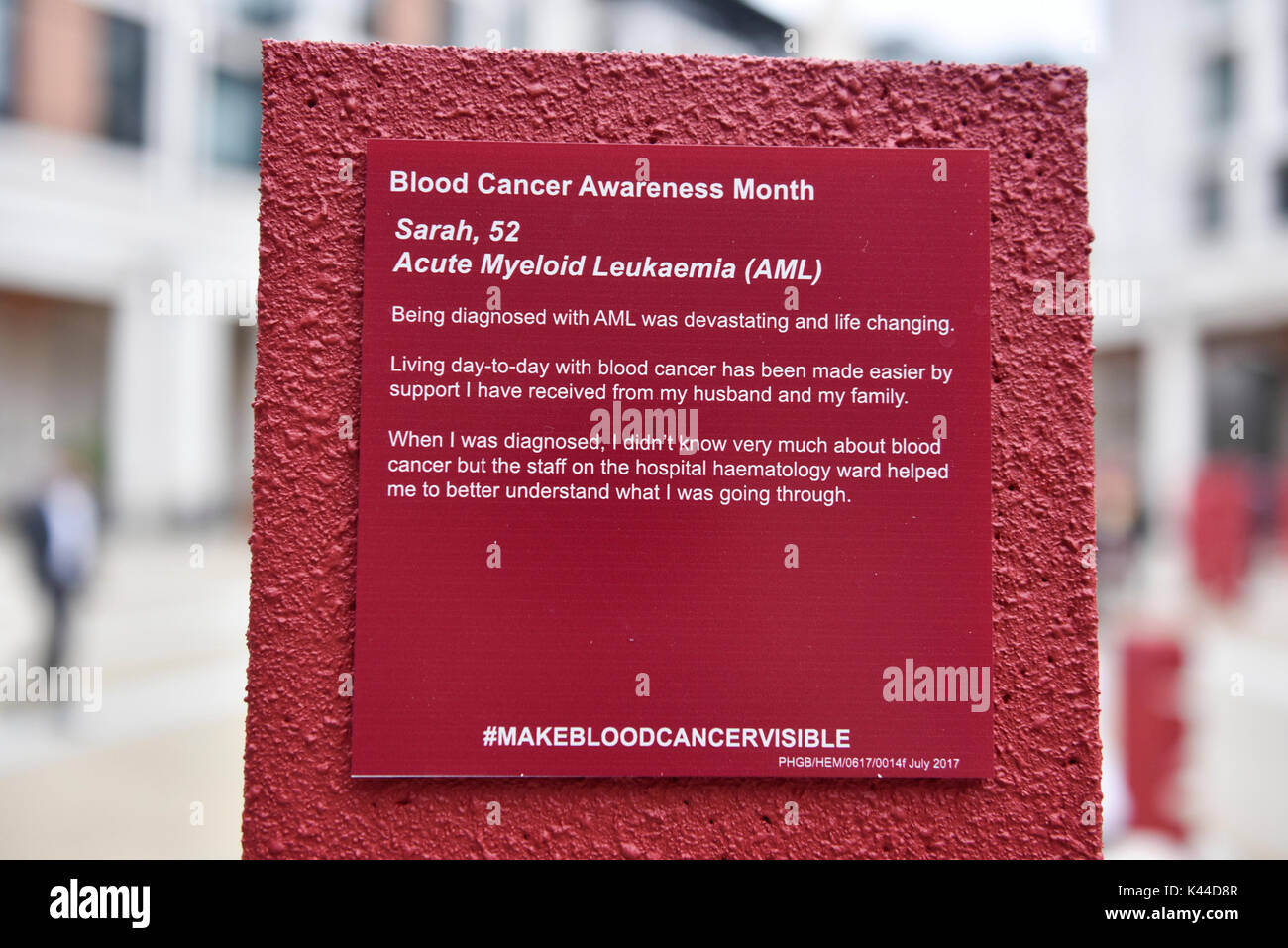 London, UK.  4 September 2017.   104 three dimensional names have been installed in Paternoster Square near St. Paul's cathedral to mark the launch of the 'Make Blood Cancer Visible' campaign.  Designed by Paul Cocksedge, the typographic forest of names represents the 104 individuals diagnosed with blood cancer daily.  Each piece symbolises an individual with blood cancer, the height corresponds to the height of that individual and bears a write-up of their particular type of blood cancer.   Credit: Stephen Chung / Alamy Live News Stock Photo