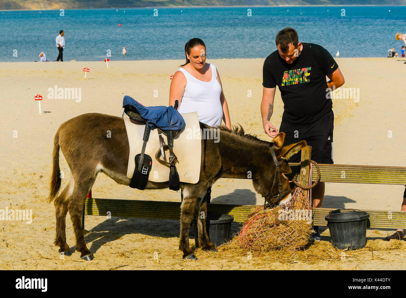 Donkey Rides On A Beach High Resolution Stock Photography and Images ...