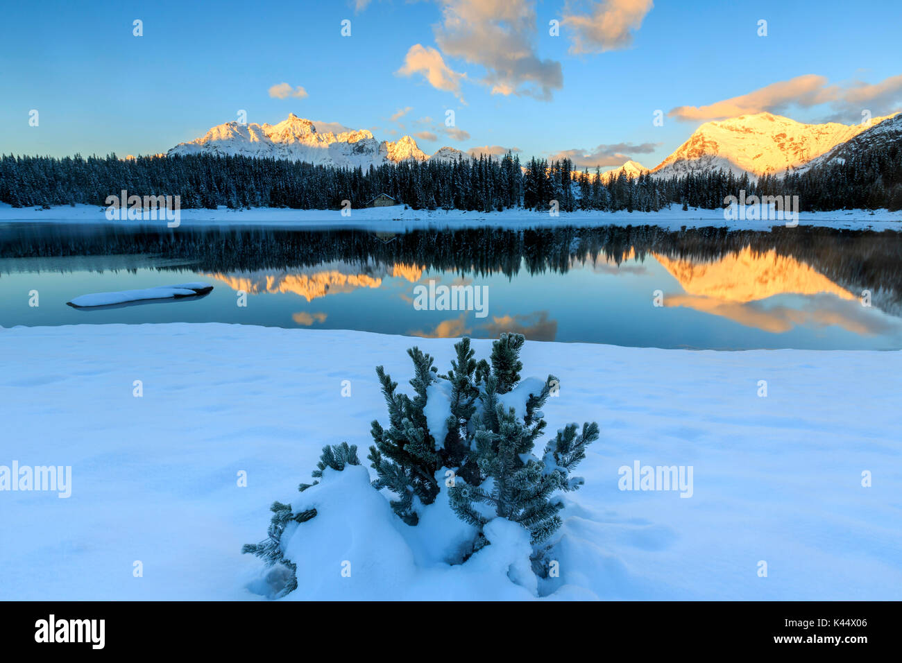 Woods and snowy peaks are reflected in Lake Palù at dawn Malenco Valley Valtellina Lombardy Italy Europe Stock Photo