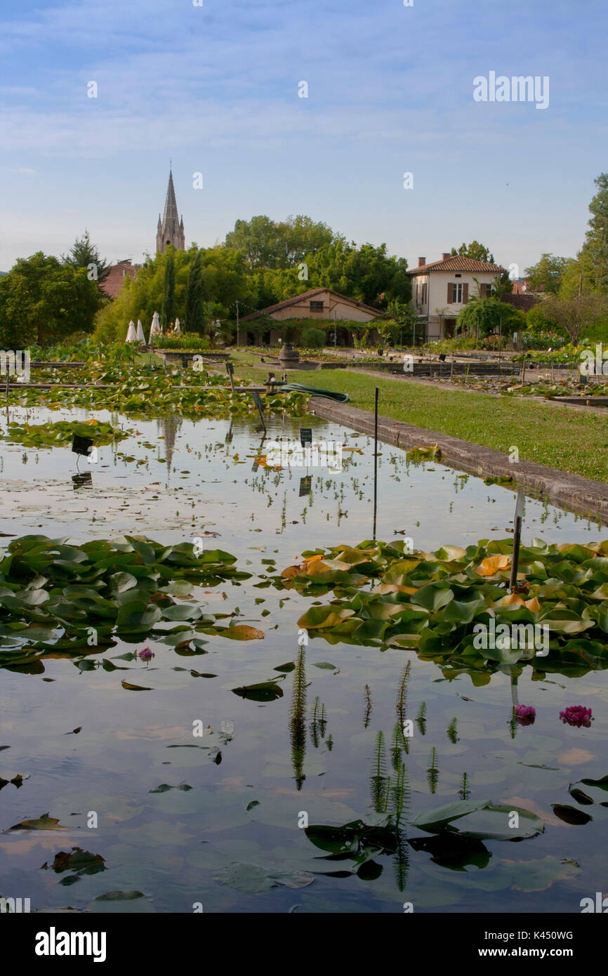 water gardens of Latour-Marliac famous for cultivating Water lilies Stock Photo