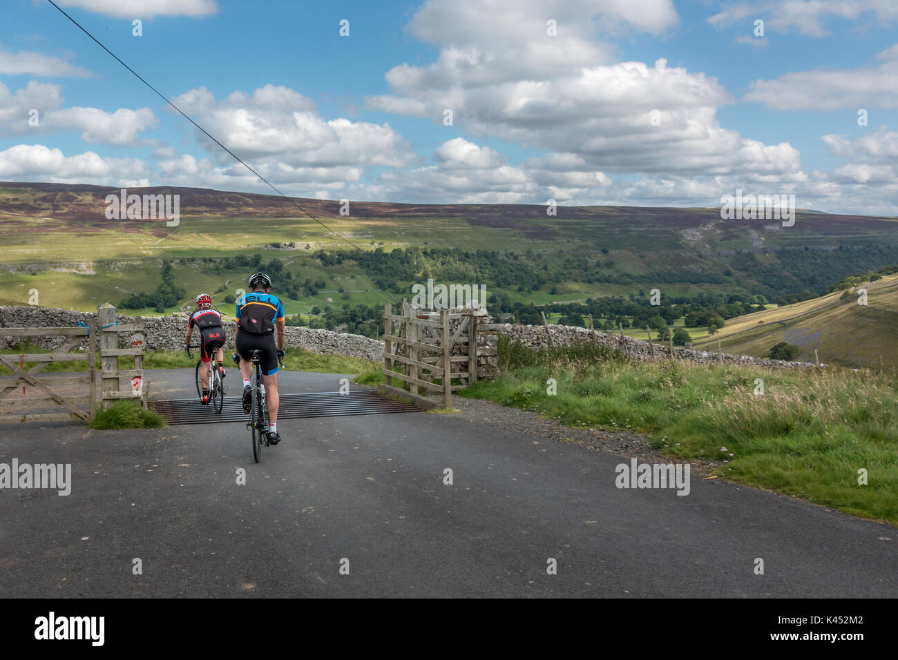 Yorkshire Dales landscape. Two male cyclists cycling across a cattle