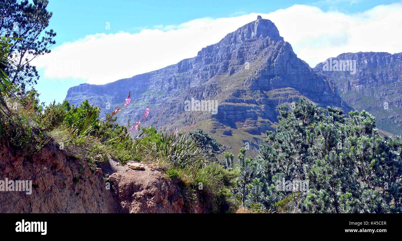Table Mountain viwed from Lion's Head Stock Photo