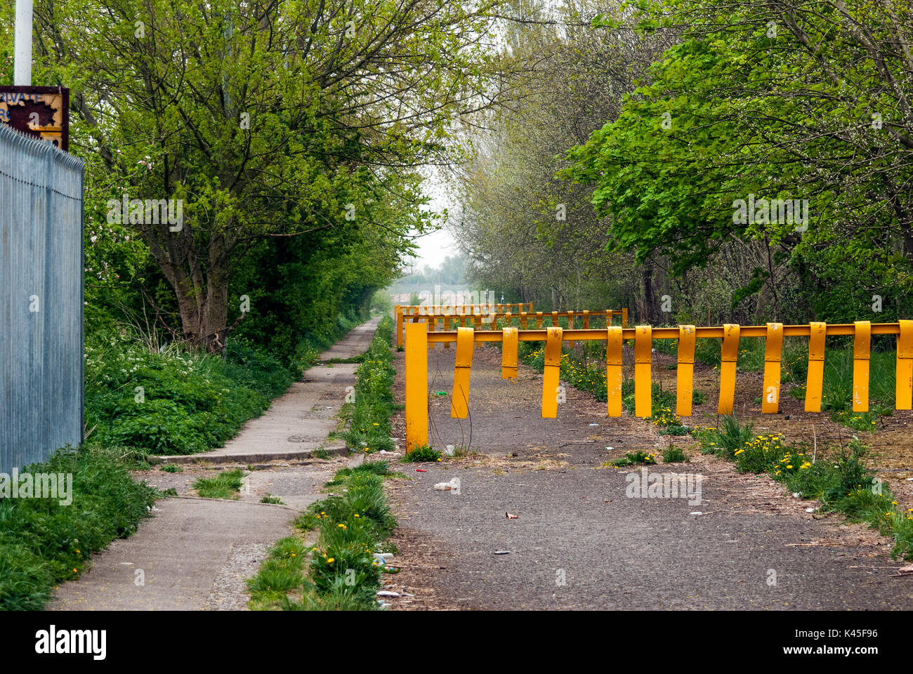 Dystopia Scenery, Yellow Road Blockades, Barriers and Railing. Deserted  Road Surrounded by Trees and Shrubbery, Manmade Landscape, Metal Fencing Stock Photo