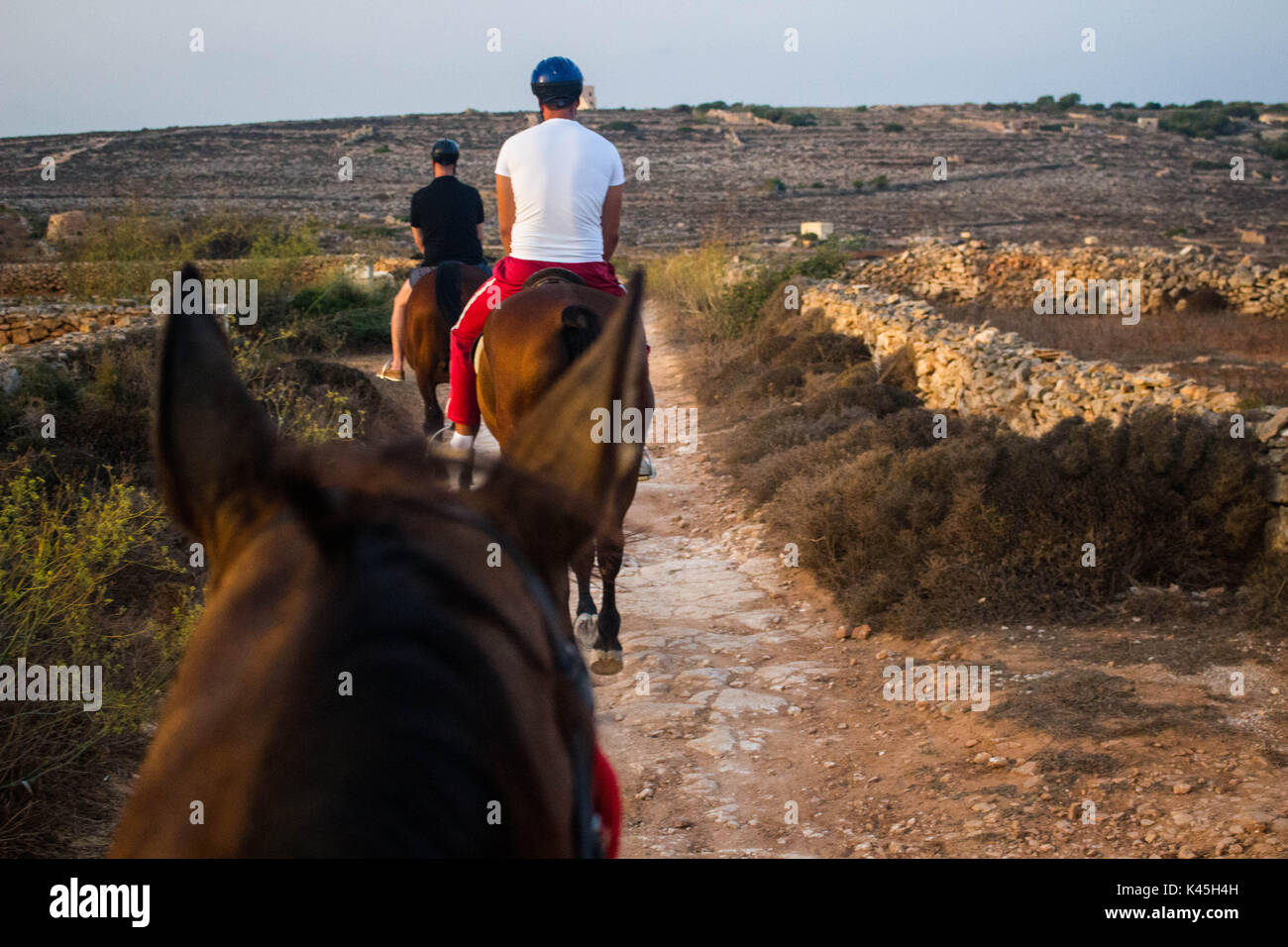 Horse Trail Riding in Malta Stock Photo