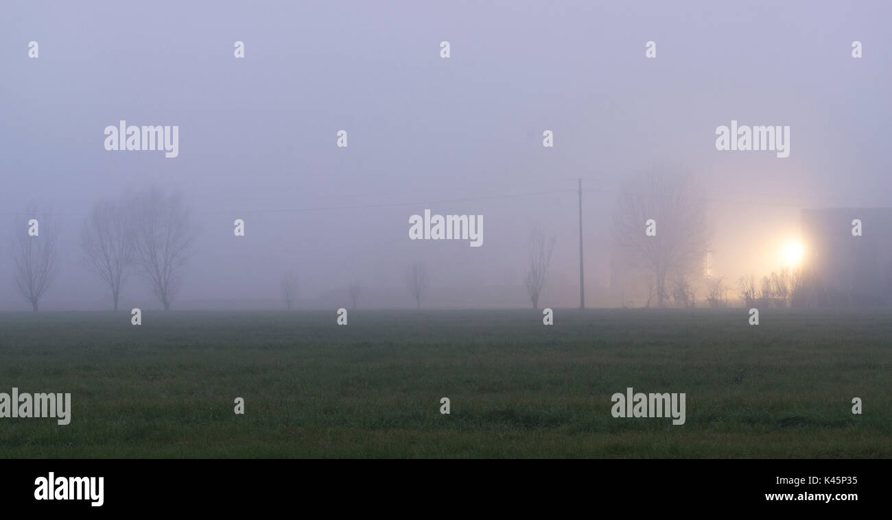 Lacchiarella, Milano, Lombardy. A light in the fog. Stock Photo