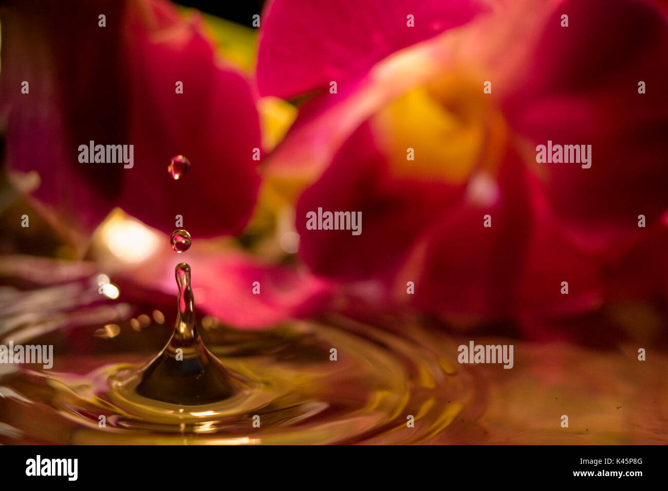 Detail of water drop falling into water surface and splashing effect. Stock Photo