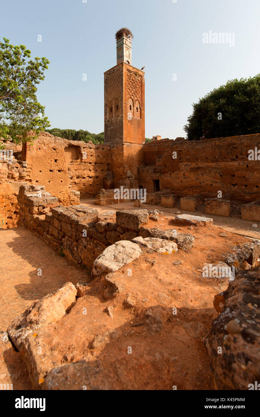 North Africa,Morocco,Capital Rabat. Archaeological site Chellah Stock Photo