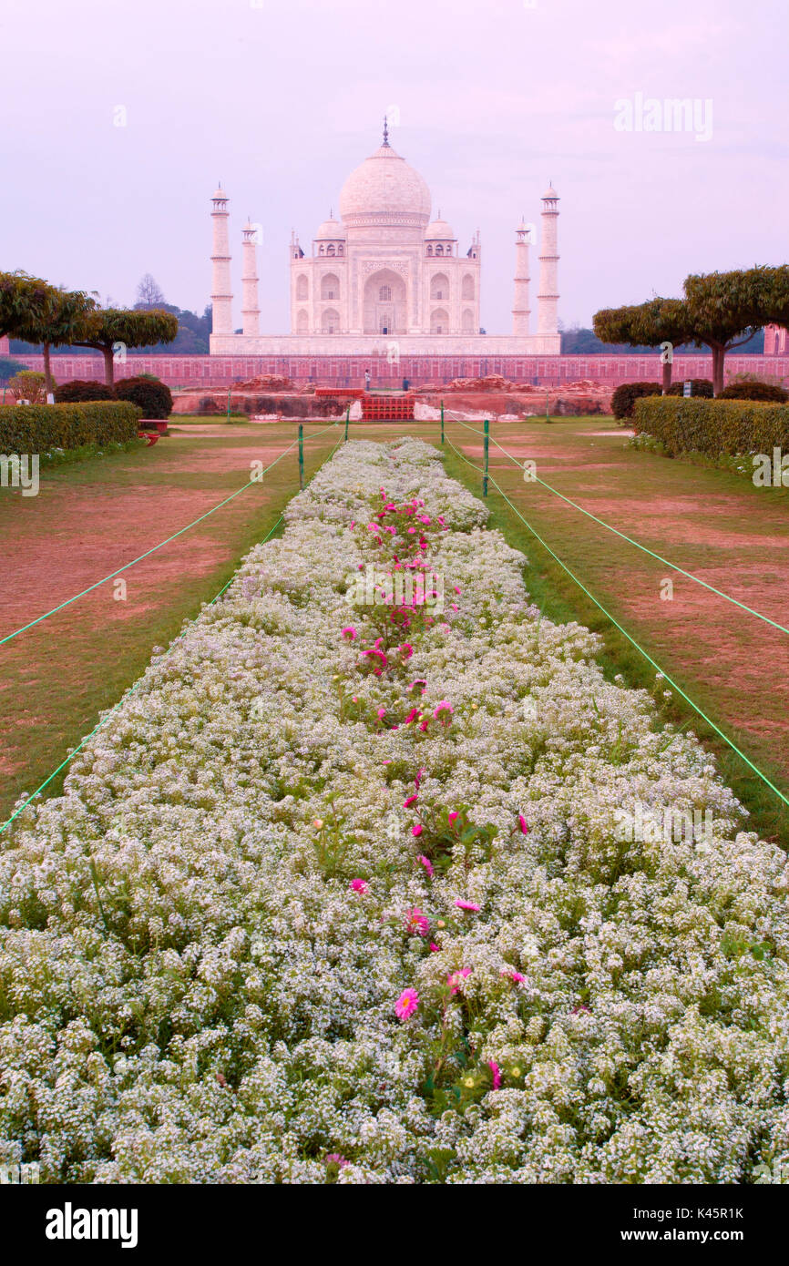 Asia, India, Agra The Taj Mahal. Stock Photo