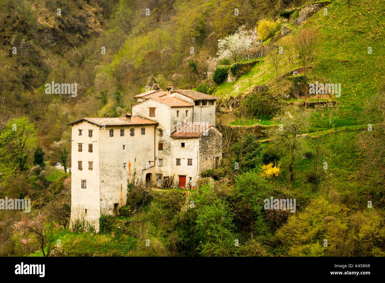 Stone houses, Contrada Giaconi, Val Frenzela, Valstagna, Provincia of Vicenza, Veneto, Italy. Rural dwellings on mountain side. Stock Photo