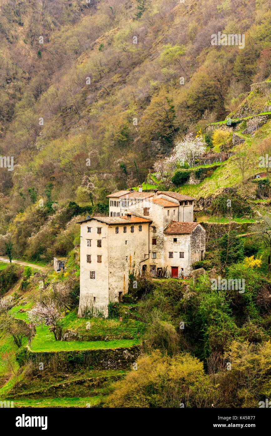 Old hamlet, Contrada Giaconi, Val Frenzela, Valstagna, Provincia of Vicenza, Veneto, Italy. Ancient village on hillside. Stock Photo