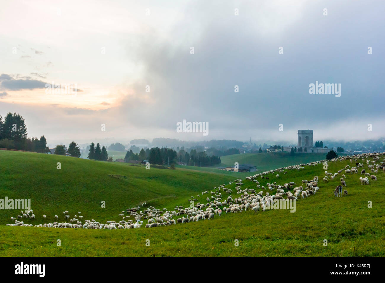 Transhumance, Altopiano of Asiago, Province of Vicenza, Veneto, Italy. Annual movement of sheep during storm. Stock Photo