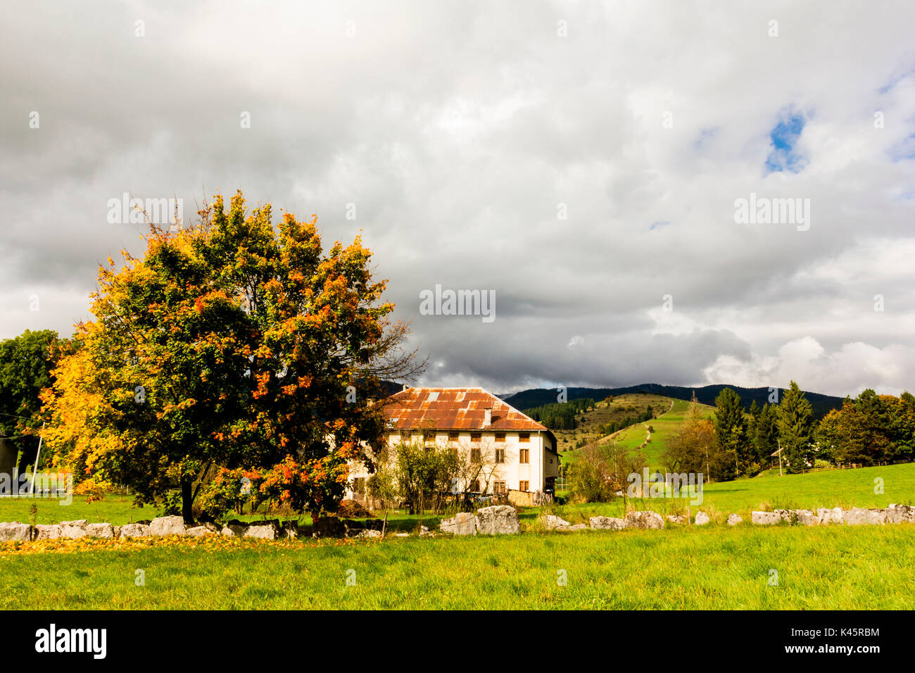 Altopiano of Asiago, Province of Vicenza, Veneto, Italy. Farmhouse with beech tree during autumn. Stock Photo
