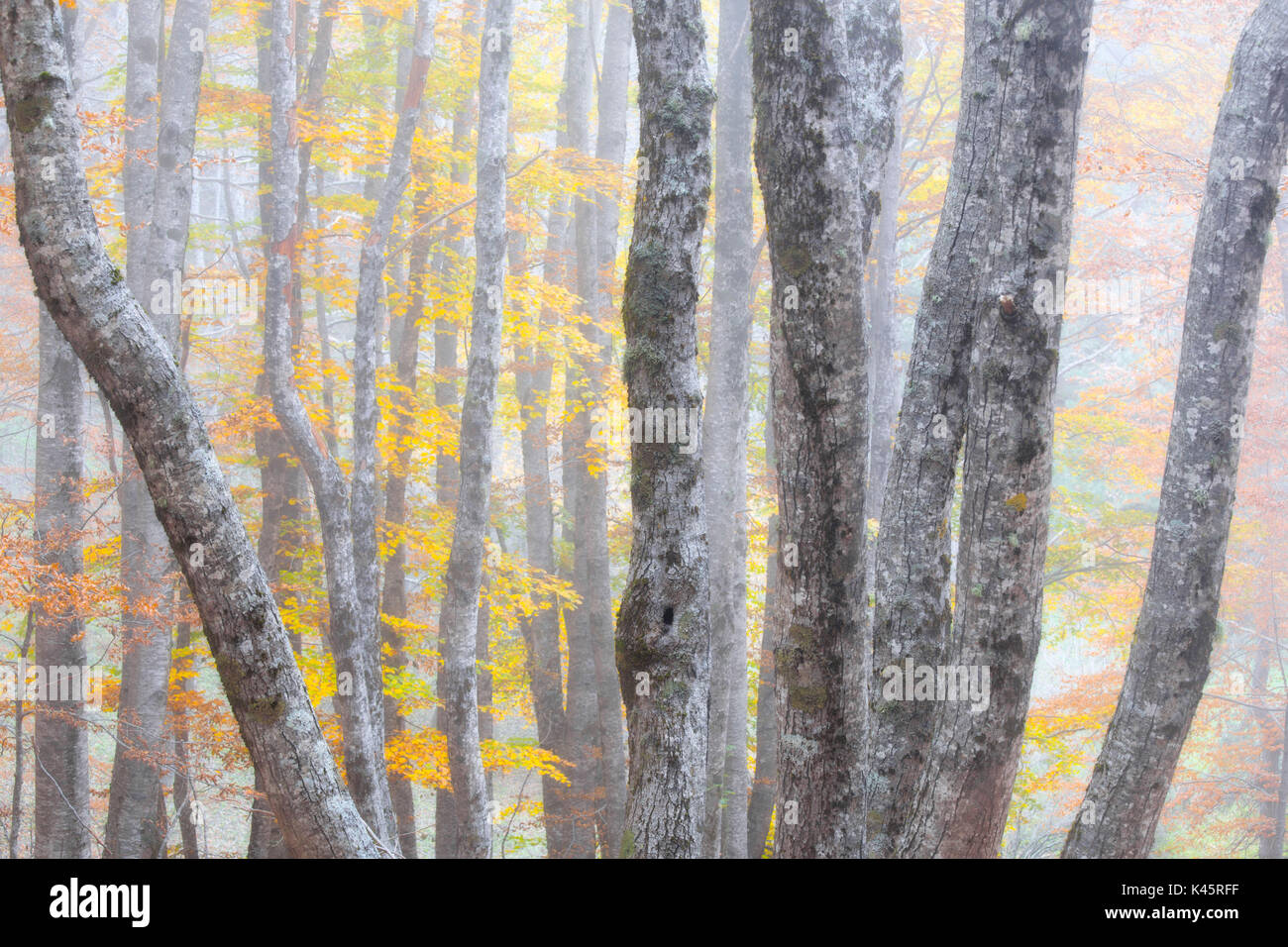 Buturo hi-res stock photography and images - Alamy